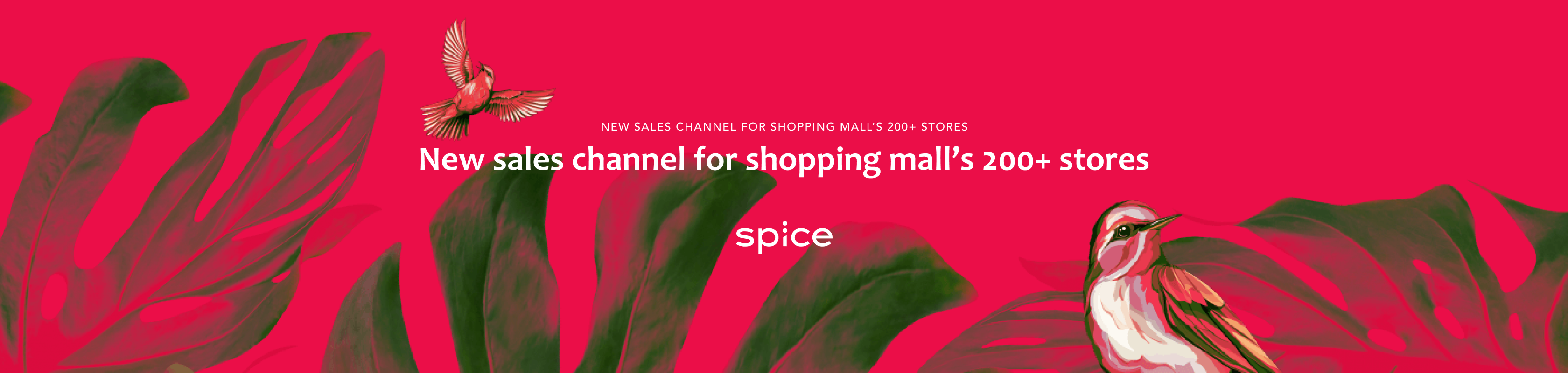 spice mini banner