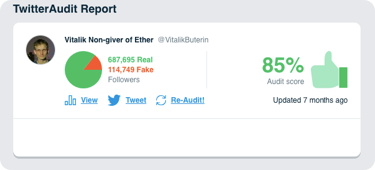A screenshot of the twitter audit report.