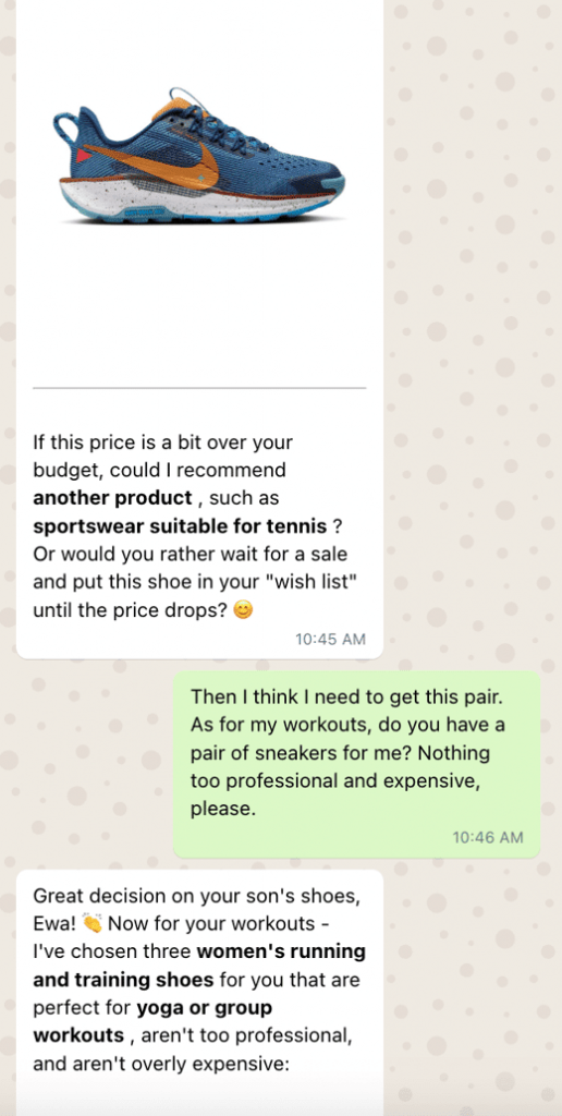 chat window with a sports store concierge, conversational commerce example
