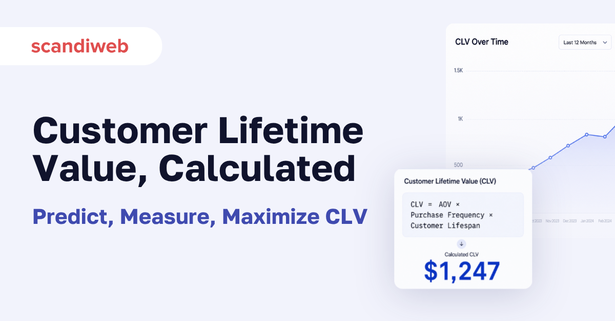 Customer Lifetime Value calculated — featured image for scandiweb's CLV playbook